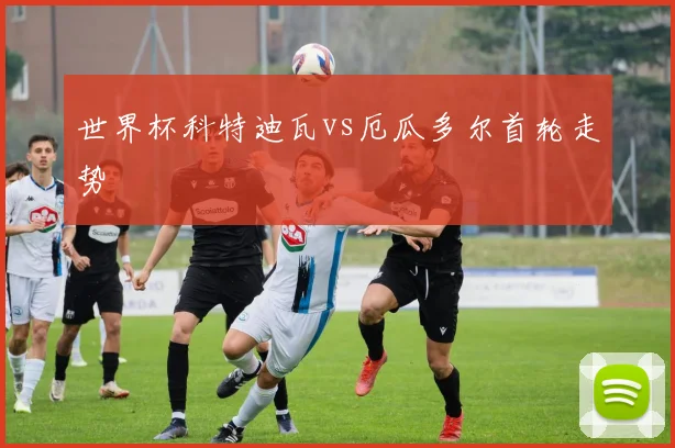世界杯科特迪瓦vs厄瓜多尔首轮走势