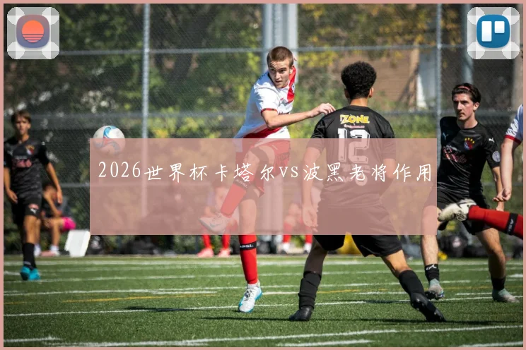 2026世界杯卡塔尔vs波黑老将作用