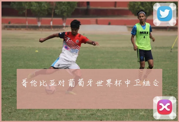 哥伦比亚对葡萄牙世界杯中卫组合