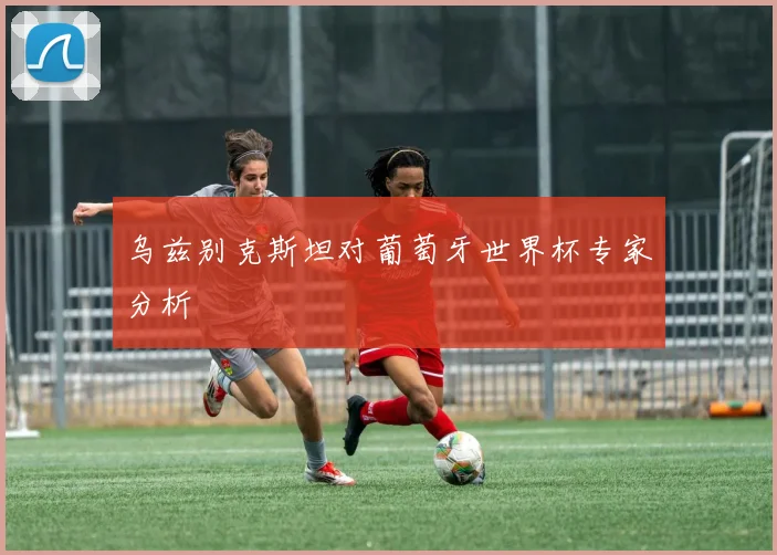 乌兹别克斯坦对葡萄牙世界杯专家分析