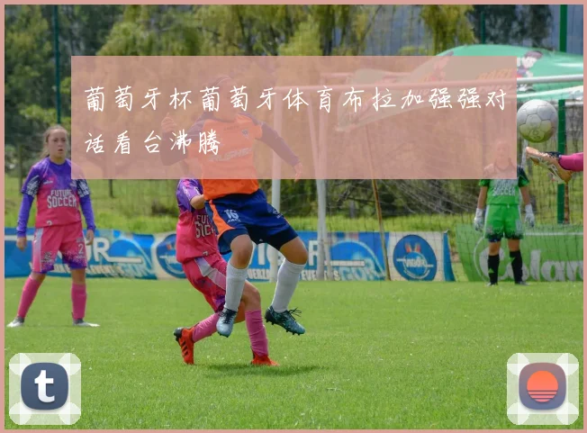葡萄牙杯葡萄牙体育布拉加强强对话看台沸腾