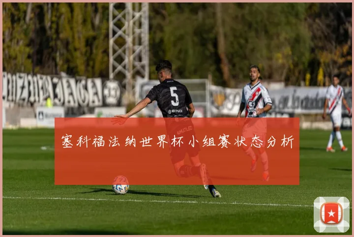 塞科福法纳世界杯小组赛状态分析
