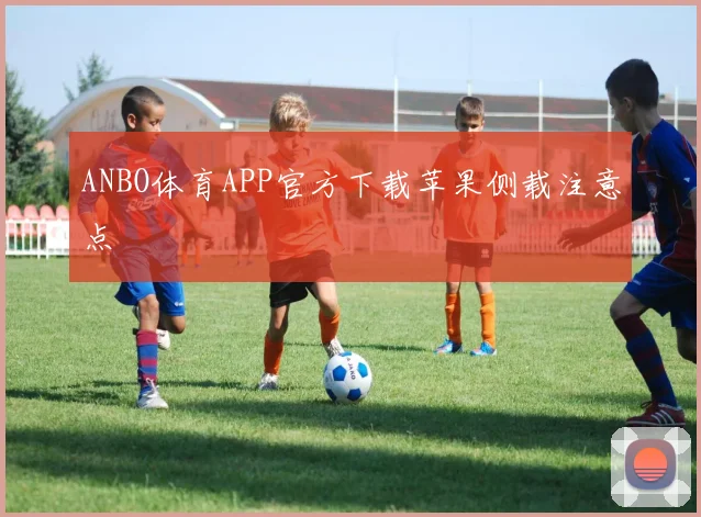 ANBO体育APP官方下载苹果侧载注意点