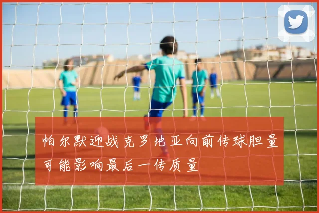 帕尔默迎战克罗地亚向前传球胆量可能影响最后一传质量