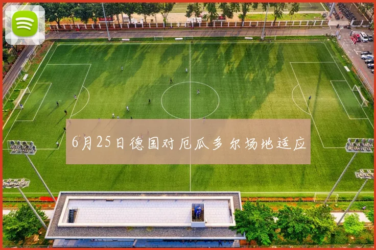 6月25日德国对厄瓜多尔场地适应
