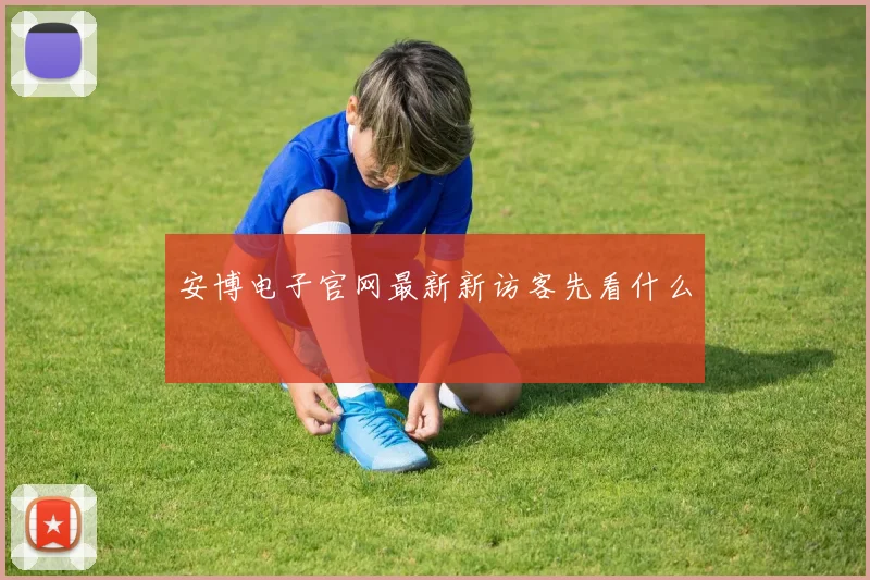 安博电子官网最新新访客先看什么