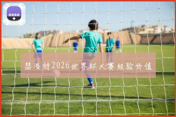 瑟洛特2026世界杯大赛经验价值